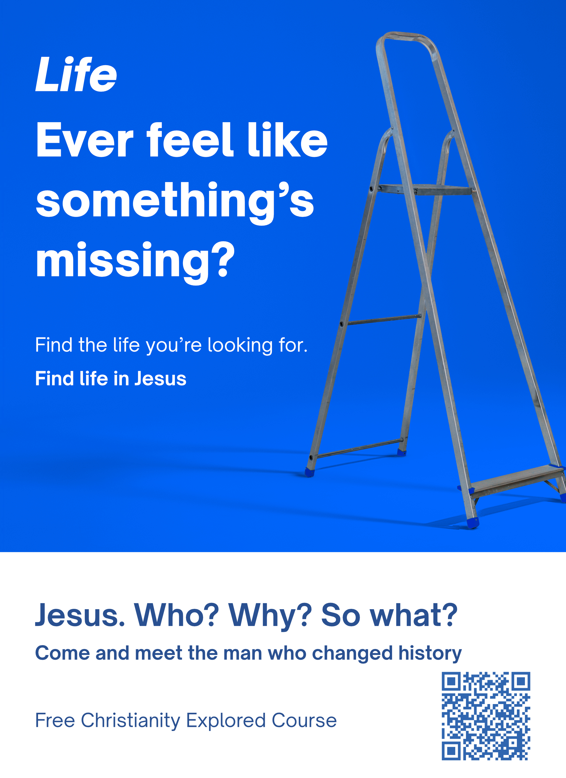 CHExPassion4LifeLadder