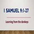 Learning from the Donkeys